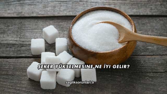 Şeker Yükselmesine Ne İyi Gelir?