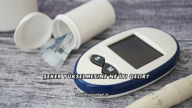 Şeker Yükselmesine Ne İyi Gelir?