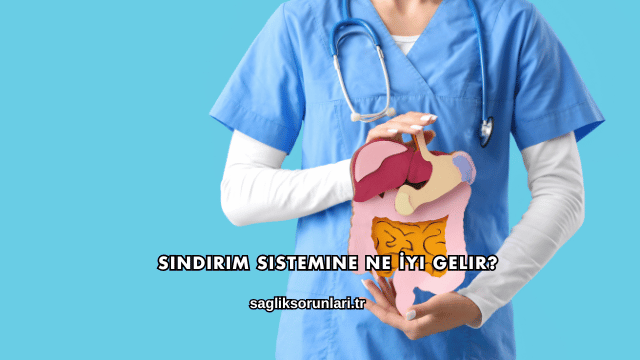 Sindirim Sistemine Ne İyi Gelir?