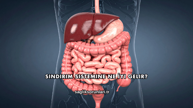 Sindirim Sistemine Ne İyi Gelir?