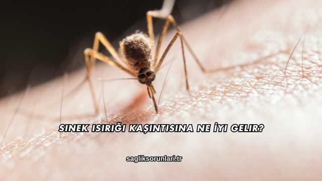 Sinek Isırığı Kaşıntısına Ne İyi Gelir?