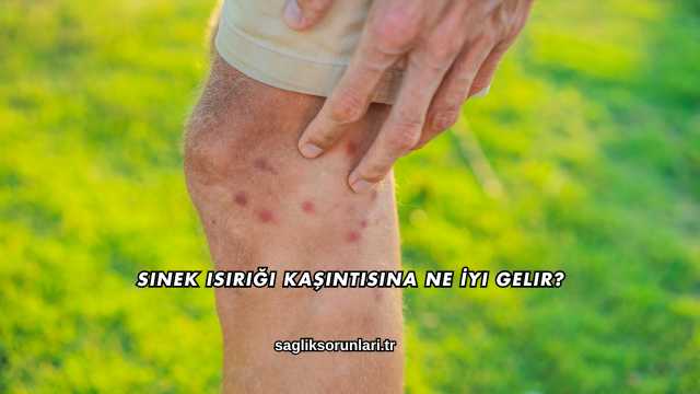 Sinek Isırığı Kaşıntısına Ne İyi Gelir?