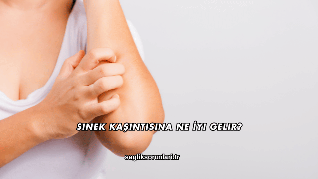 Sinek Kaşıntısına Ne İyi Gelir?