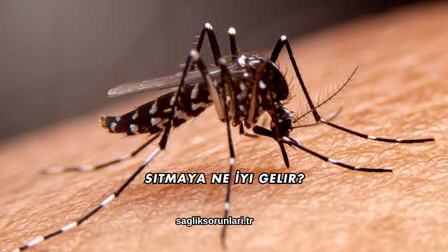 Sıtmaya Ne İyi Gelir?