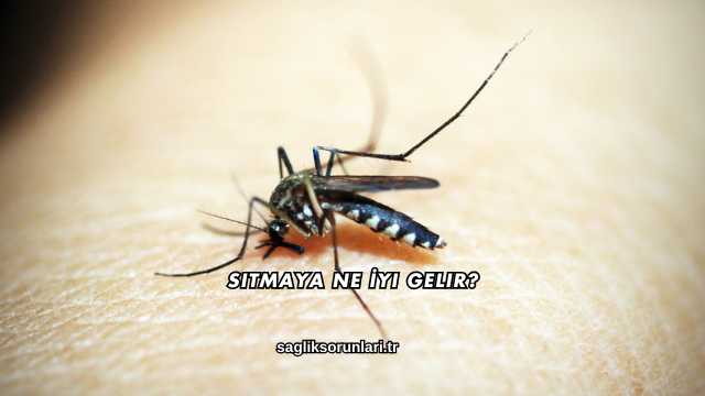 Sıtmaya Ne İyi Gelir?