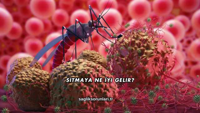 Sıtmaya Ne İyi Gelir?