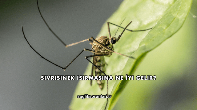 Sivrisinek Isırmasına Ne İyi Gelir?