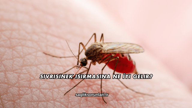 Sivrisinek Isırmasına Ne İyi Gelir?