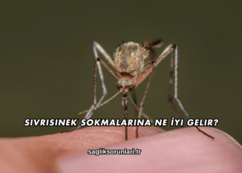 Sivrisinek Sokmalarına Ne İyi Gelir?
