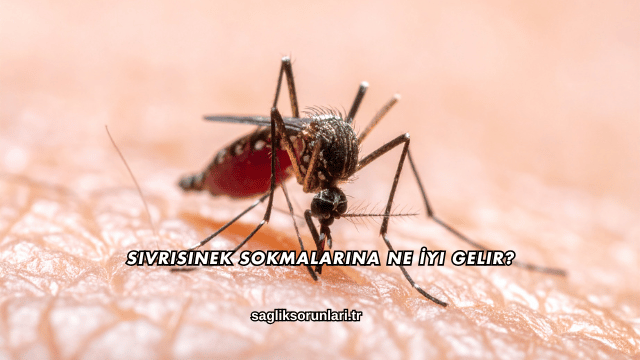 Sivrisinek Sokmalarına Ne İyi Gelir?