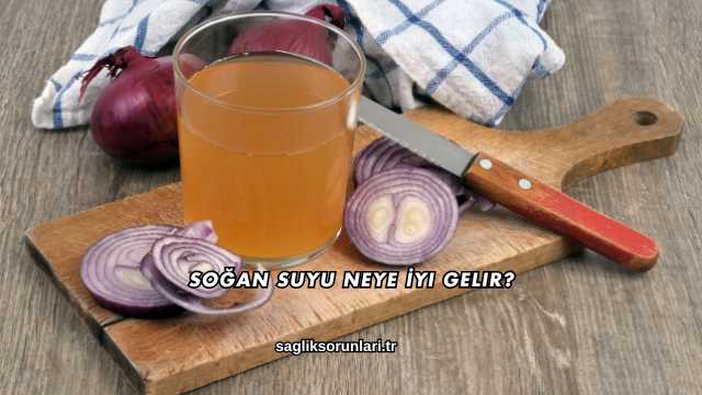 Soğan Suyu Neye İyi Gelir?