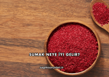Sumak Neye İyi Gelir?