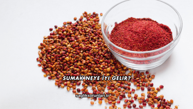 Sumak Neye İyi Gelir?