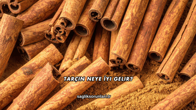 Tarçın Neye İyi Gelir?