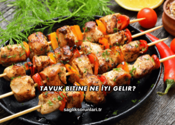 Tavuk Bitine Ne İyi Gelir?