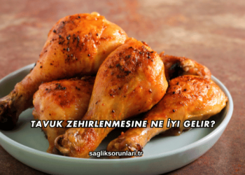 Tavuk Zehirlenmesine Ne İyi Gelir?