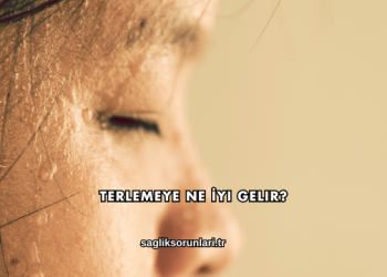 Terlemeye Ne İyi Gelir?