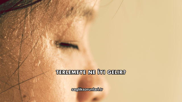 Terlemeye Ne İyi Gelir?