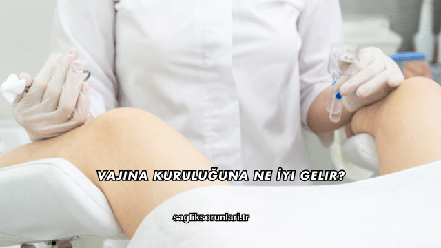 Vajina Kuruluğuna Ne İyi Gelir?