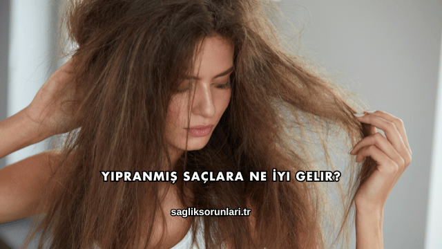 Yıpranmış Saçlara Ne İyi Gelir?