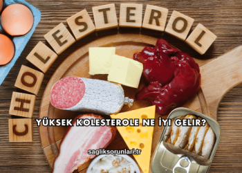 Yüksek Kolesterole Ne İyi Gelir?