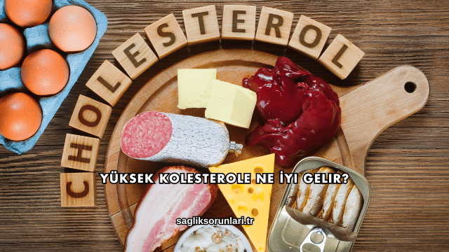 Yüksek Kolesterole Ne İyi Gelir?