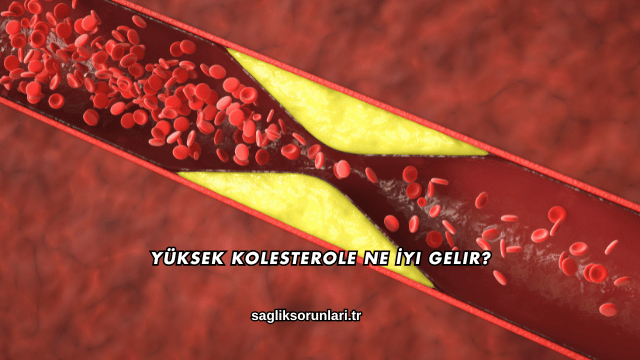 Yüksek Kolesterole Ne İyi Gelir?