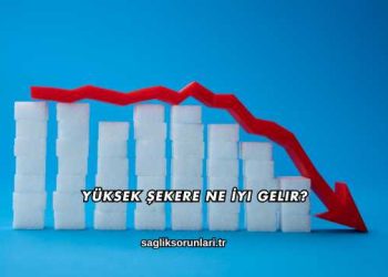 Yüksek Şekere Ne İyi Gelir?