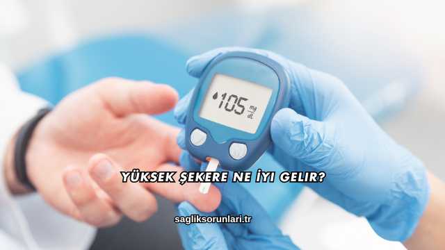 Yüksek Şekere Ne İyi Gelir?