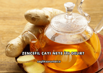 Zencefil Çayı Neye İyi Gelir?