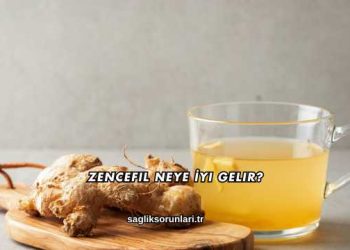 Zencefil Neye İyi Gelir?