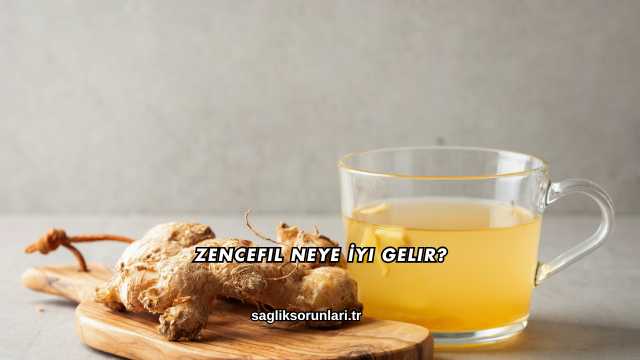 Zencefil Neye İyi Gelir?