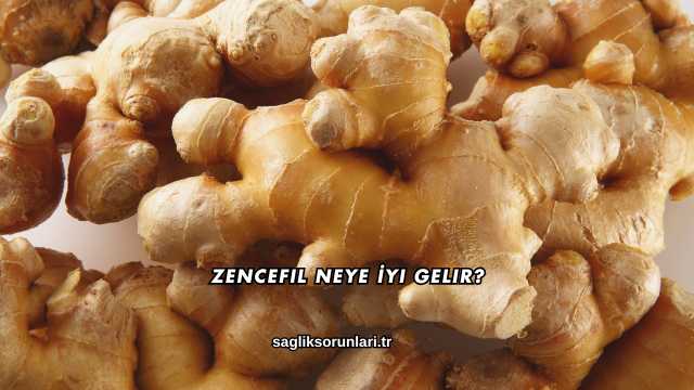 Zencefil Neye İyi Gelir?