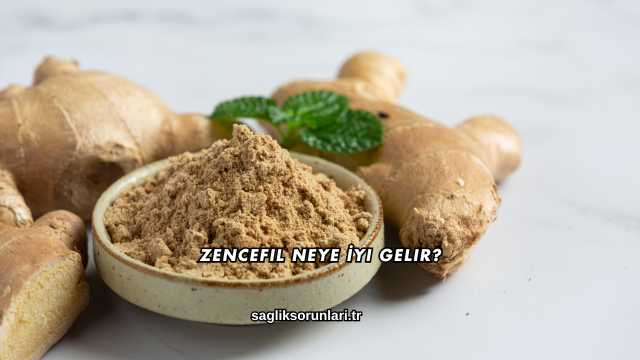 Zencefil Neye İyi Gelir?
