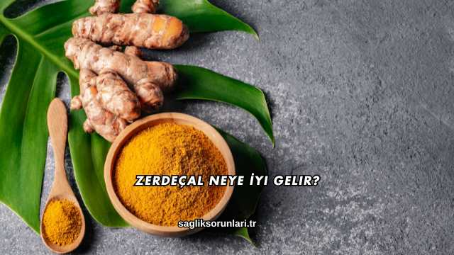 Zerdeçal Neye İyi Gelir?