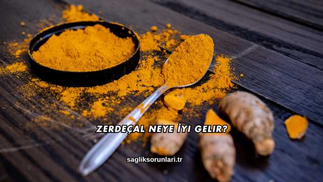 Zerdeçal Neye İyi Gelir?