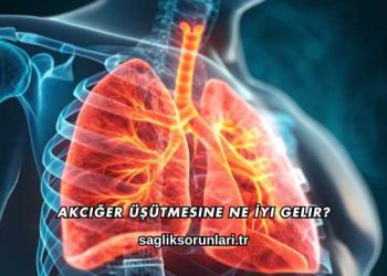 Akciğer Üşütmesine Ne İyi Gelir?