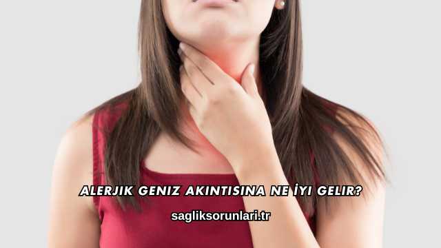 Alerjik Geniz Akıntısına Ne İyi Gelir?