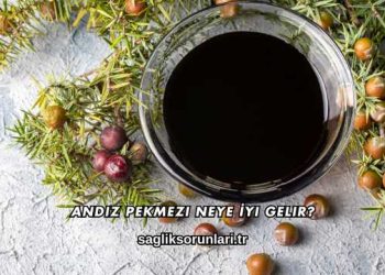Andız Pekmezi Neye İyi Gelir?