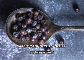 Ardıç Yağı Neye İyi Gelir?