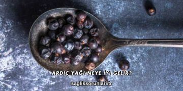 Ardıç Yağı Neye İyi Gelir?