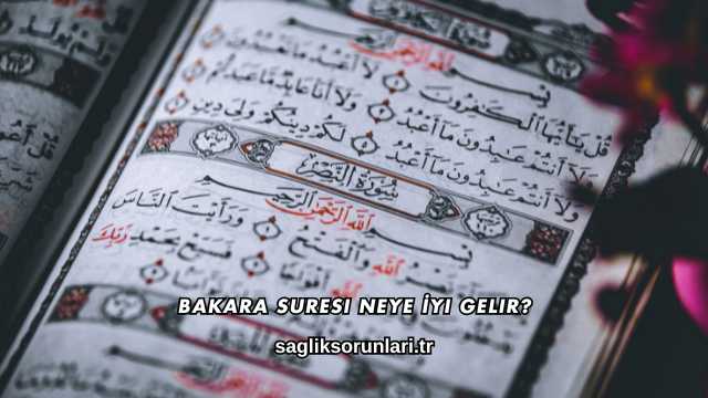 Bakara Suresi Neye İyi Gelir?