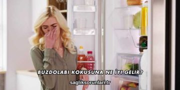 Buzdolabı Kokusuna Ne İyi Gelir?