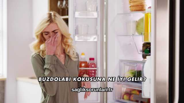 Buzdolabı Kokusuna Ne İyi Gelir?