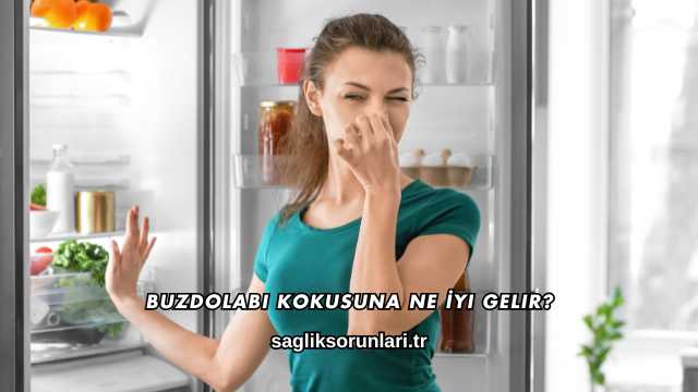 Buzdolabı Kokusuna Ne İyi Gelir?