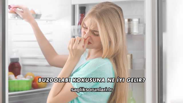 Buzdolabı Kokusuna Ne İyi Gelir?