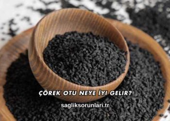 Çörek Otu Neye İyi Gelir?