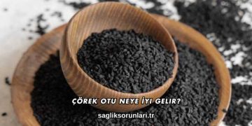 Çörek Otu Neye İyi Gelir?