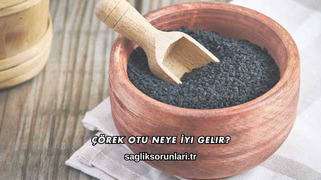 Çörek Otu Neye İyi Gelir?