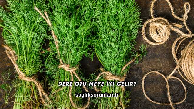 Dere Otu Neye İyi Gelir?